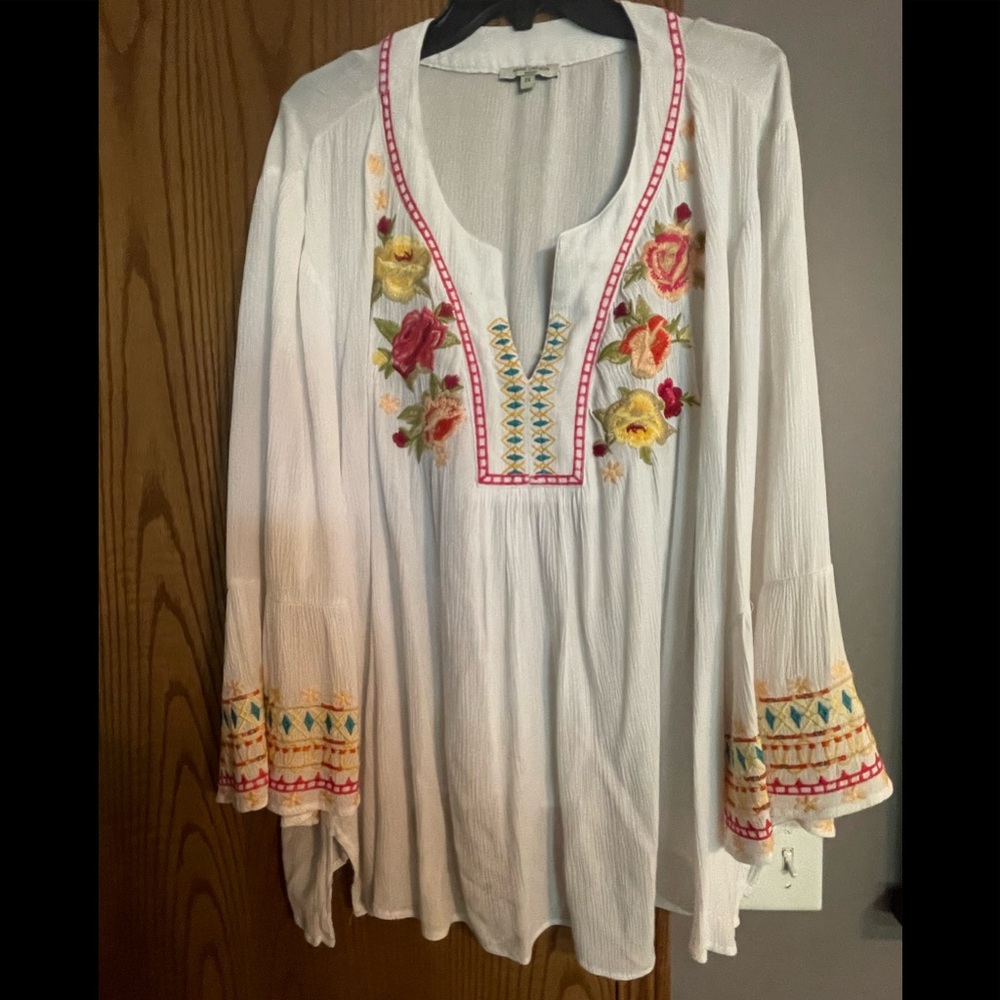 Plus size 2X Anne Carson embroidered tunic